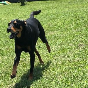 Meet your Posher, Brooklyn